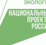 В Курской области продолжаются занятия Школы лесничества - Газета Родные просторы